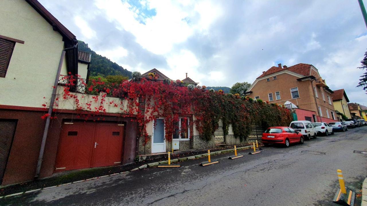 Nomad Apartment Braszów Zewnętrze zdjęcie